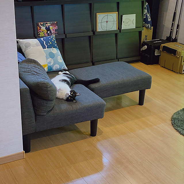 viraさんの実例写真