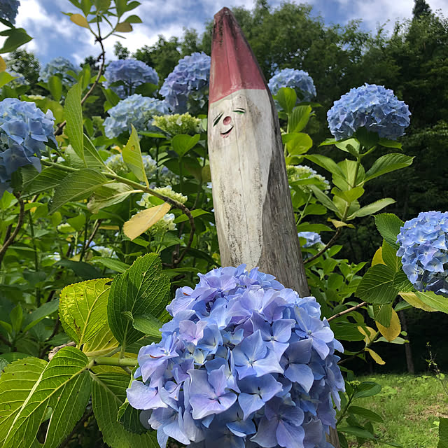 Rororiさんの実例写真