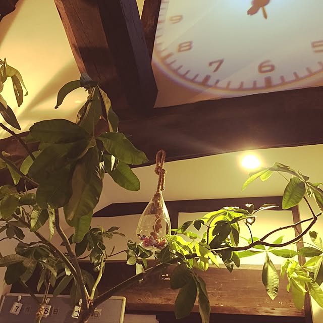 ikukoさんの実例写真