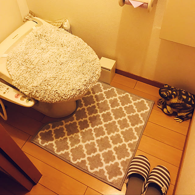 kocchanさんの実例写真