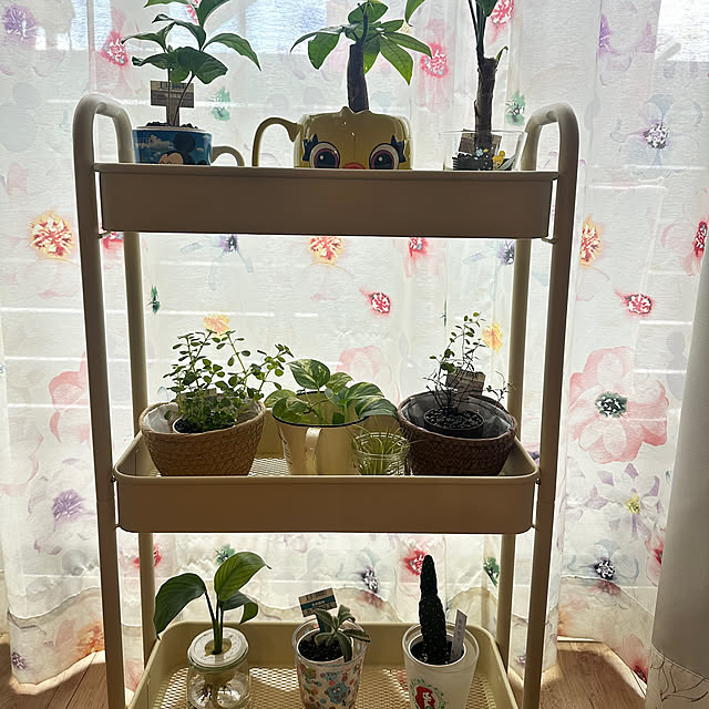 Harukaさんの実例写真