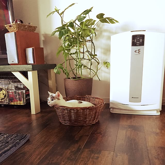 freelife_workさんの実例写真