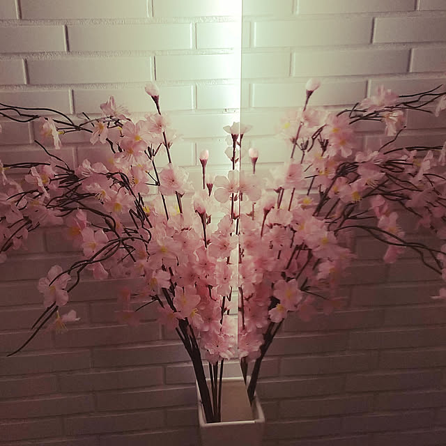 noaさんの実例写真