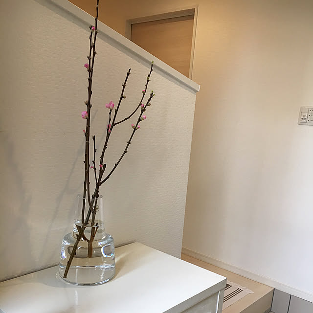 玄関/入り口/ホルムガード/ホルムガード フローラ/scope_japan/スコープさんで購入のインテリア実例 - 2019-03-11 19:36:55