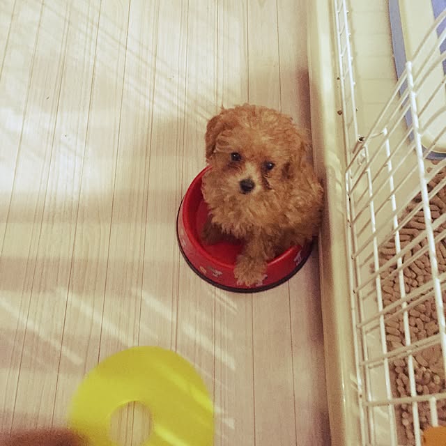 marikaさんの実例写真