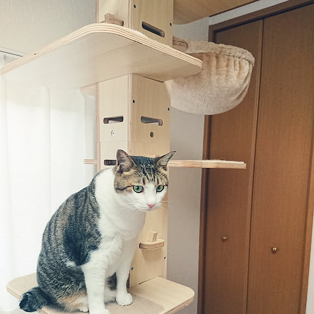 nachiさんの実例写真