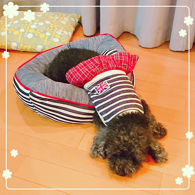makkoさんの実例写真