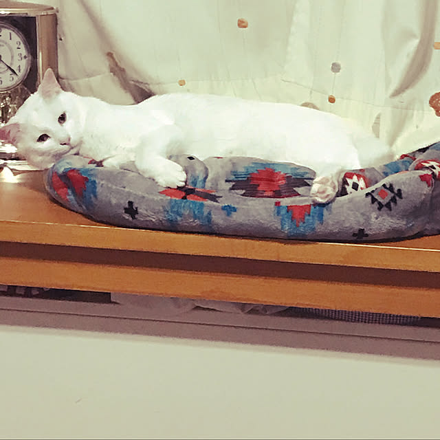yuki48さんの実例写真