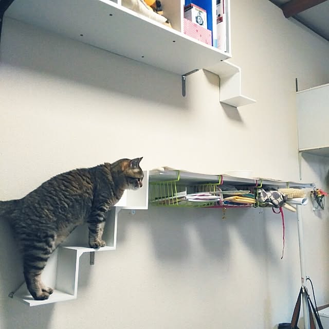 MACOさんの実例写真