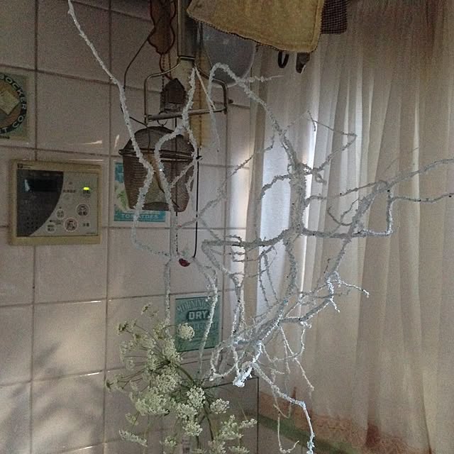popoさんの実例写真