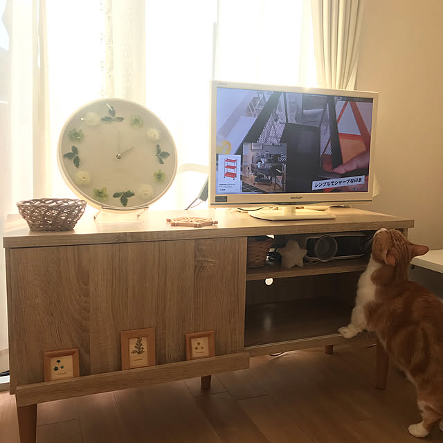 maruさんの実例写真