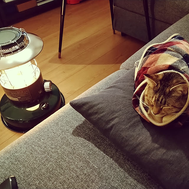 mochicoさんの実例写真