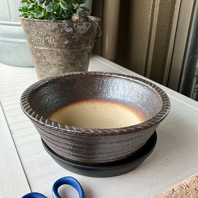 koshiregutyoさんの部屋