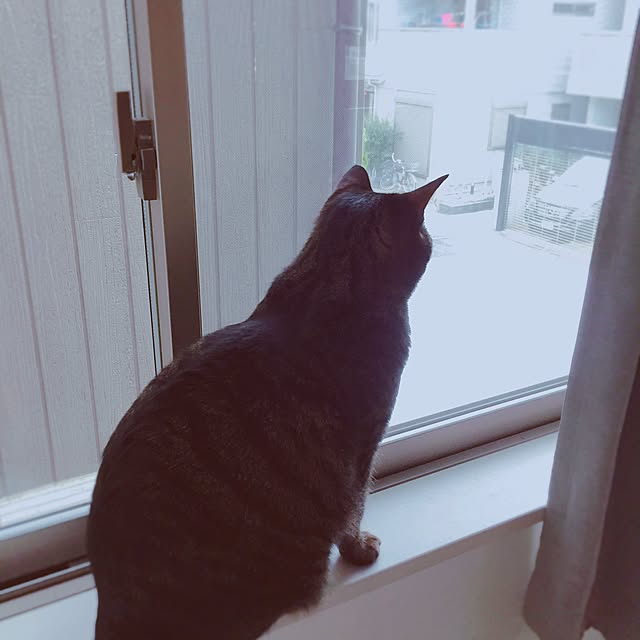 nyan.73さんの実例写真