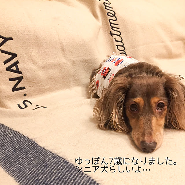 yupponさんの実例写真