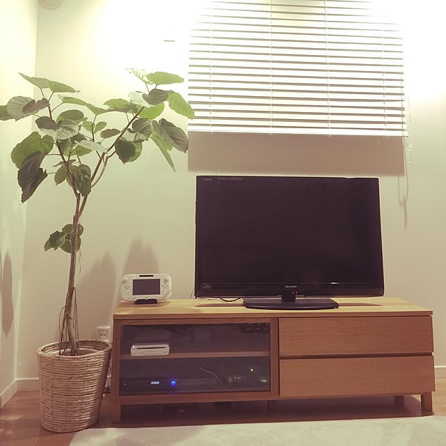puchisyuhuさんの実例写真