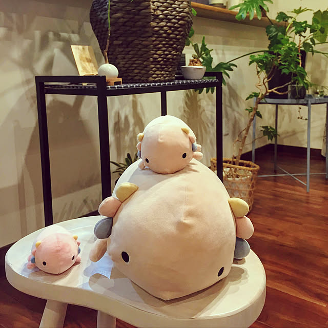 kinakoさんの実例写真