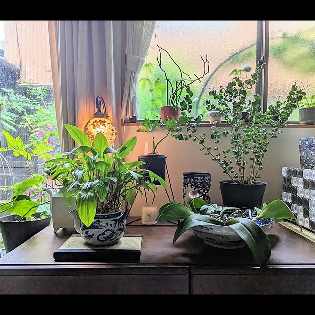aromameさんの実例写真
