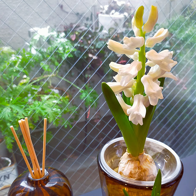 jinさんの実例写真
