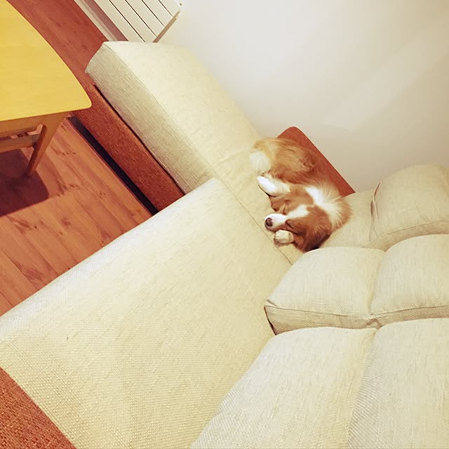 abaさんの実例写真