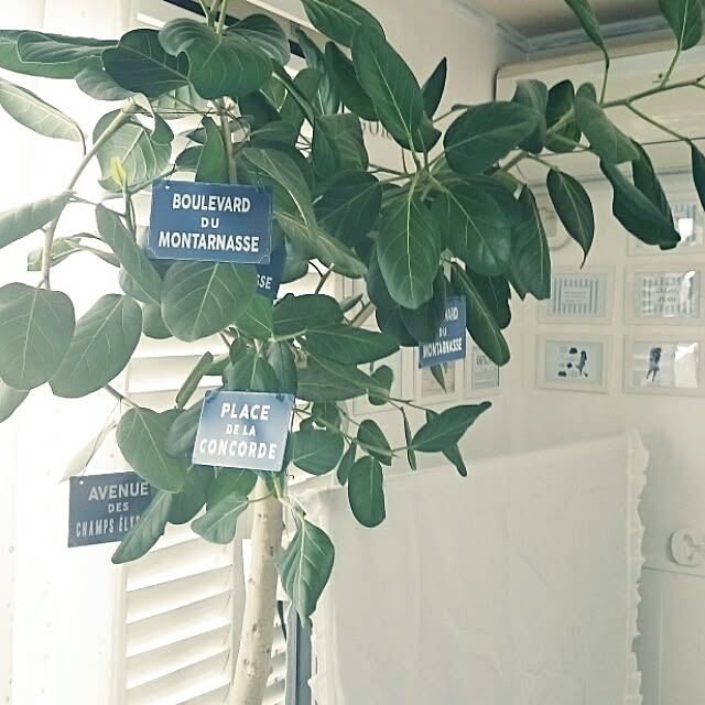 M_house_officialさんの実例写真