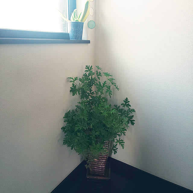 komugiさんの実例写真