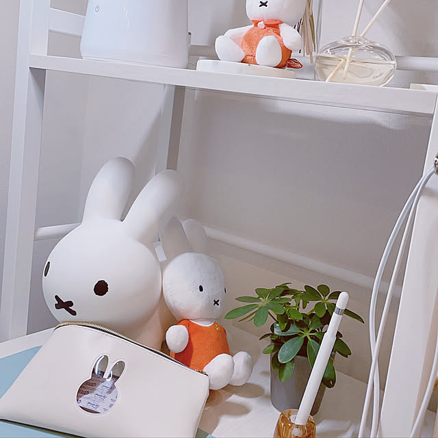 renapippiさんの実例写真