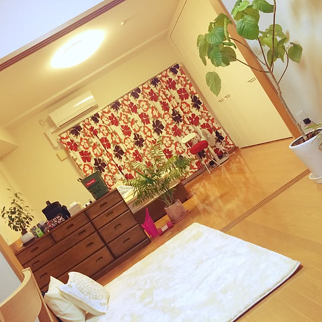 shioさんの実例写真