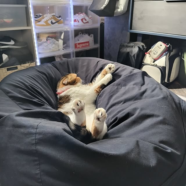 hiro3さんの部屋