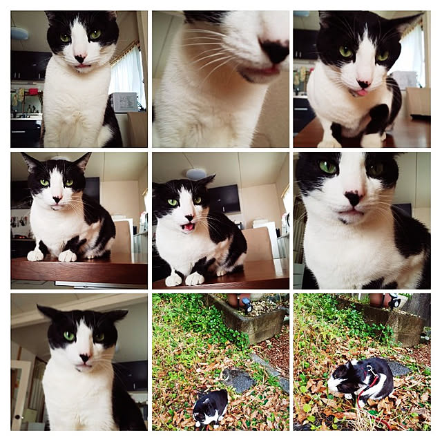 oseroさんの実例写真
