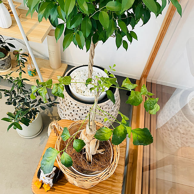 YUKOさんの部屋
