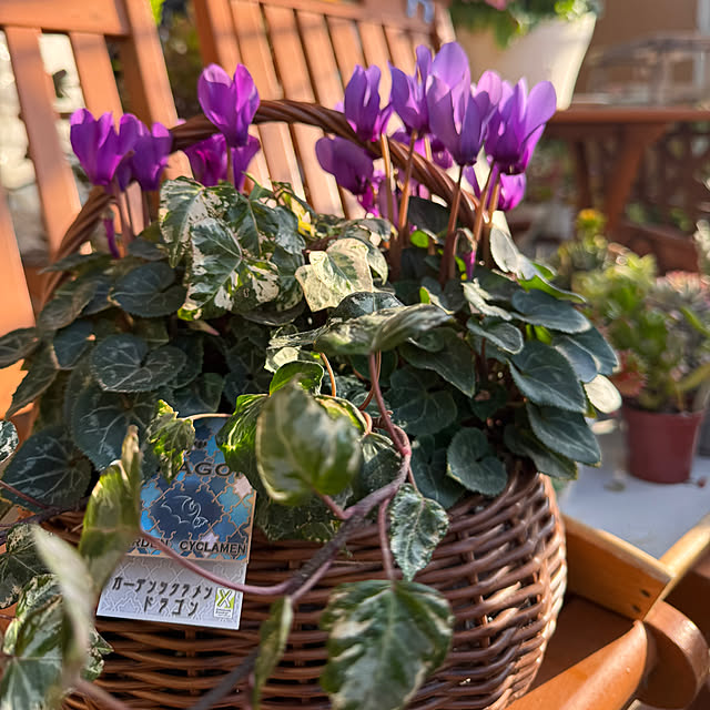 Aqettyさんの実例写真