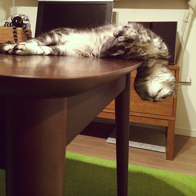 mikomaruさんの実例写真
