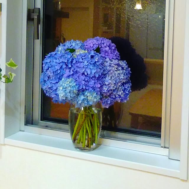 Yumiさんの実例写真