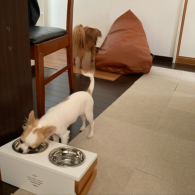 toratanさんの実例写真