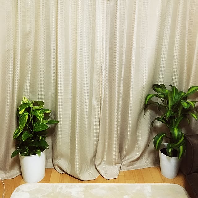 yomiyomiさんの実例写真