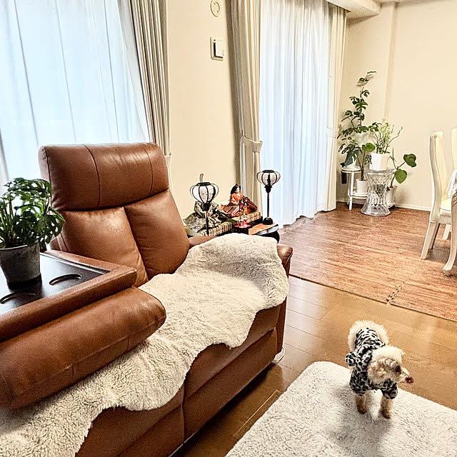 Kanmiさんの部屋