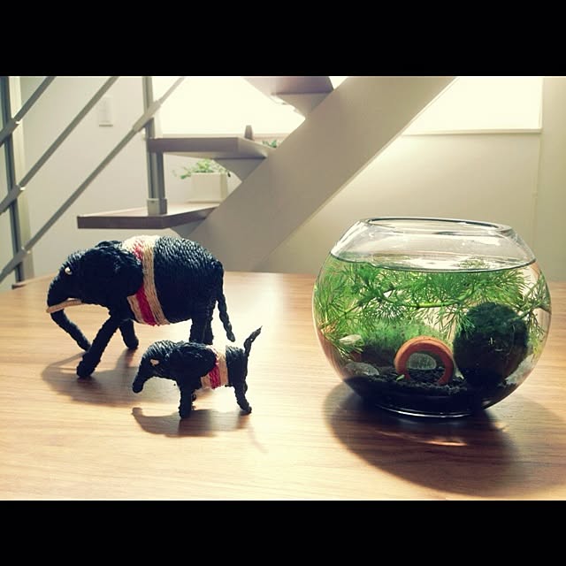 takkさんの実例写真
