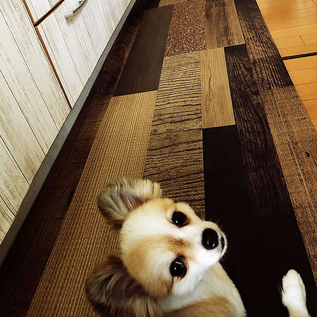 k.yuka29さんの実例写真