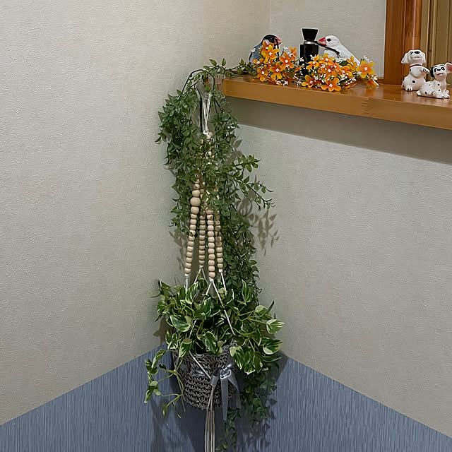 kakoさんの部屋