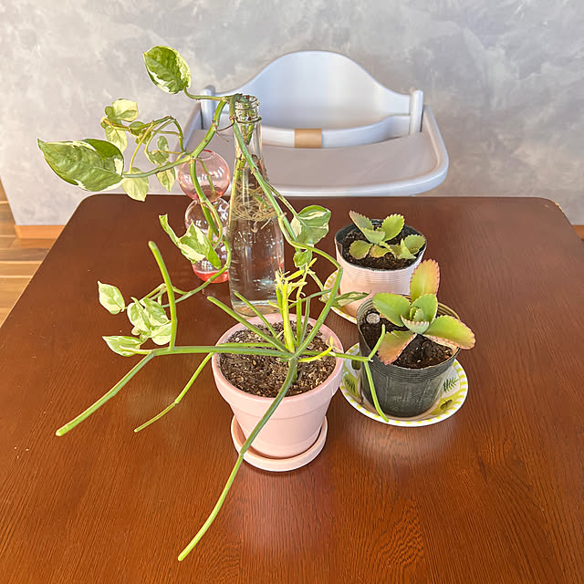 pokowheeさんの実例写真
