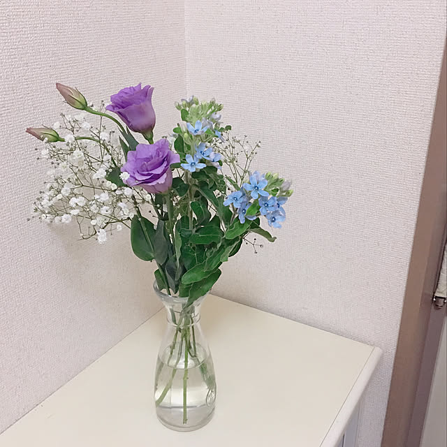 Midoriさんの実例写真