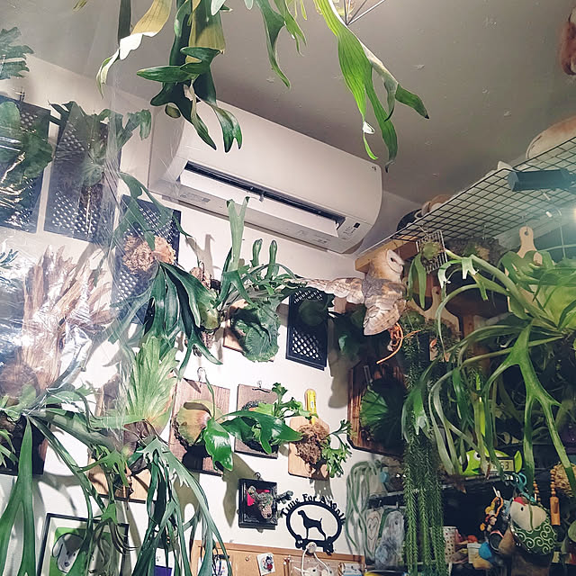 mikiさんの実例写真