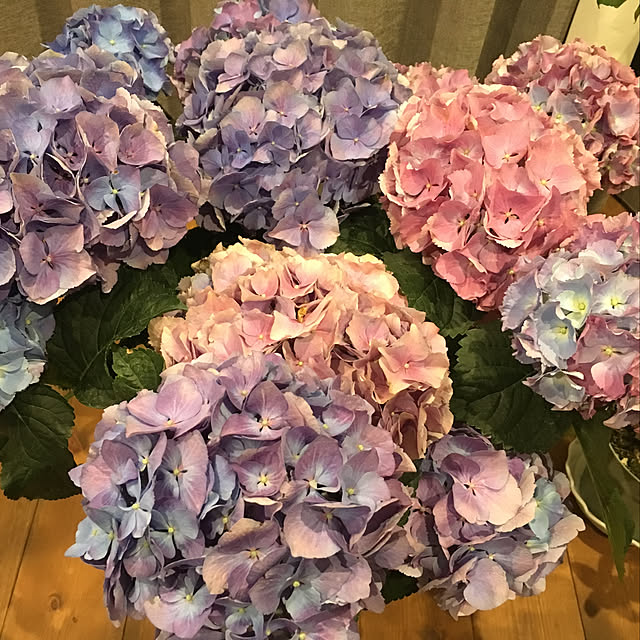himarinさんの実例写真