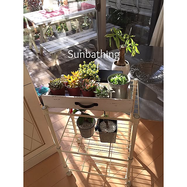 cherryさんの実例写真