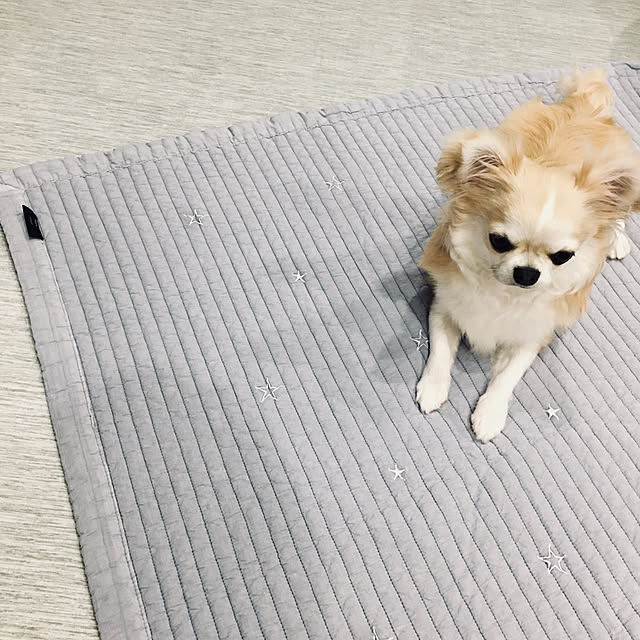 meguさんの実例写真