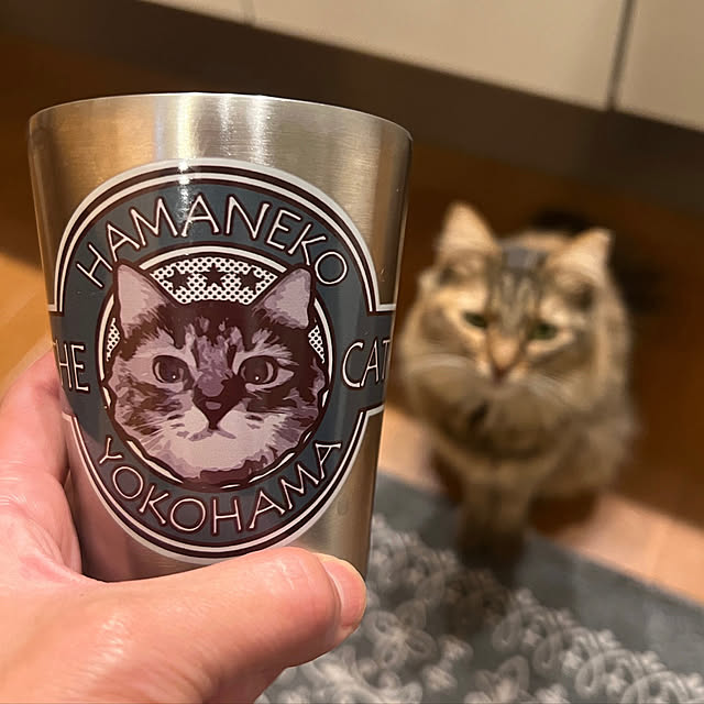 hamanekoさんの実例写真