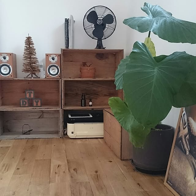 Kaoriさんの実例写真