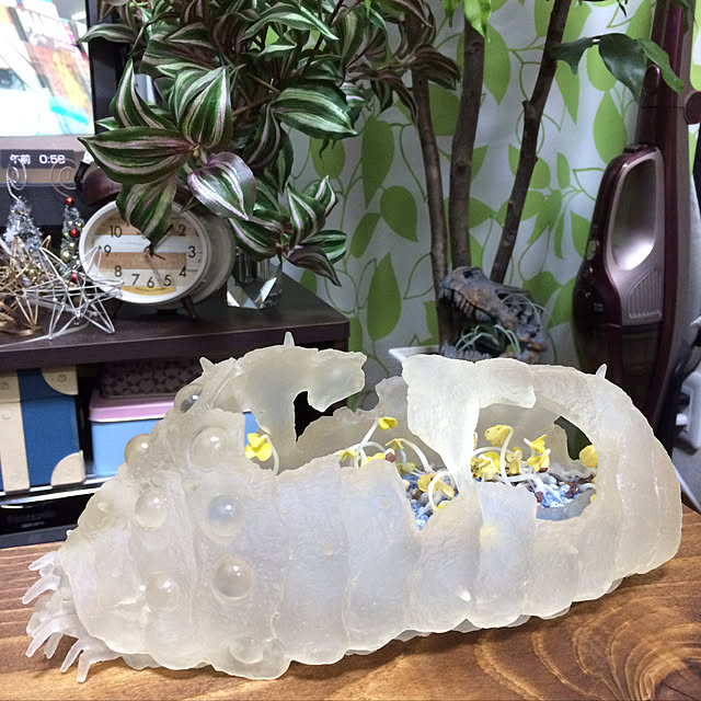 237mmさんの実例写真