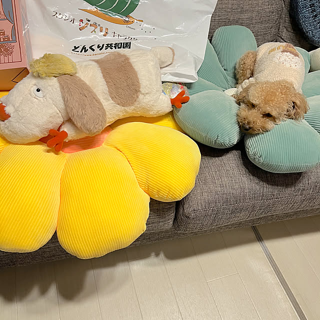 eriharuさんの部屋